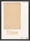 Navicula gastrum var. exigua (Greg.) Grun. (de-Toni-Nr.: Genus 1, Species 131) Zeichnungen Sammlung Grunow (NHMW-BOT-W0366703)
